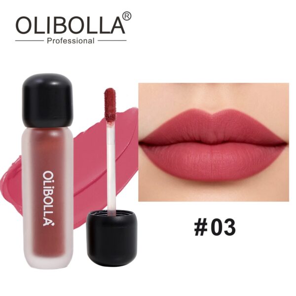Velvet Matte Lip Gloss, Non-sticky Cup & Waterproof, Long Lasting Pigmented 4 Colors Fog Lipstick